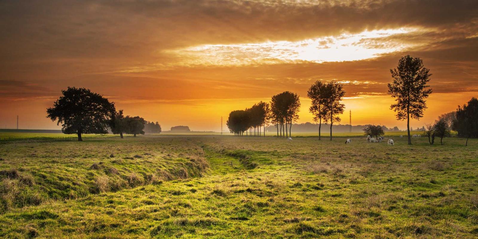 行业应用 - 晔生航空